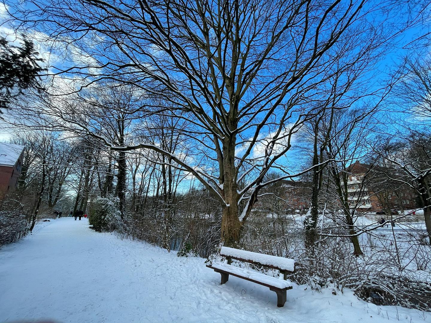 Nachhaltify im Winterschlaf. Wie Ihr sicher gemerkt habt, sind wir aktuell etwas weniger aktiv als gewohnt und das wird wohl auch noch ein paar Monate so bleiben. 🤔
.
Grund hierfür ist, dass unser Team aktuell einige private und berufliche „Projekte“ hat (vorrangig durchaus positive), die unsere Aufmerksamkeit brauchen und somit bleibt weniger Zeit für unser Herzensprojekt. Das schmerzt ein bisschen, ist aber auch für eine Weile ok. Letztlich betreuen wir Nachhaltify in unserer Freizeit und es gibt Phasen, da haben andere Themen Vorrang - gerade in der aktuellen, herausfordernden Zeit.
.
Wir werden aber mit ordentlich Schwung zurückkommen, machen uns in den kommenden Monaten Gedanken, was wir hier für Euch Neues an den Start bringen können und natürlich freuen wir uns, wenn Ihr uns bis dahin die Treue haltet. 🤗
.
Es wird natürlich weiterhin neue Beiträge geben, nur vielleicht in etwas niedrigerer Frequenz. Und natürlich lesen wir auch weiterhin alle Eure Kommentare und Nachrichten - das hat uns bisher immer motiviert und wird es auch weiterhin tun! Danke, dass Ihr da seid! ☺️
.
Viele Grüße von Sina, Steffen und Matthias
