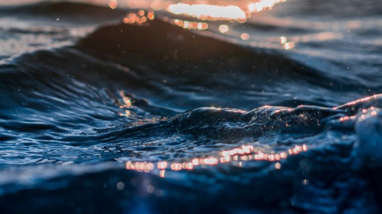 japan-Walfang-was-bedeutet-der-aktuelle-ausstieg