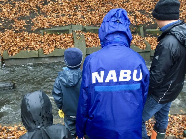 NABU Bachaktionstag zur Renaturierung der Düpenau in Schenefeld