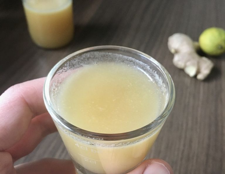 bio-ingwer-shots-selber-machen