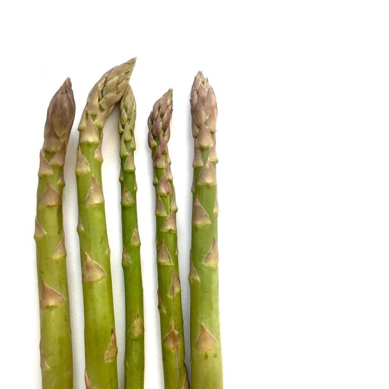 saisonkalender-mai-spargel
