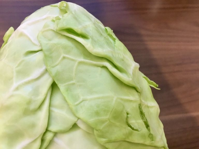 saisonkalender-oktober-spitzkohl