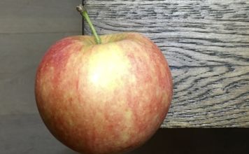 saisonkalender-september-apfelsaison