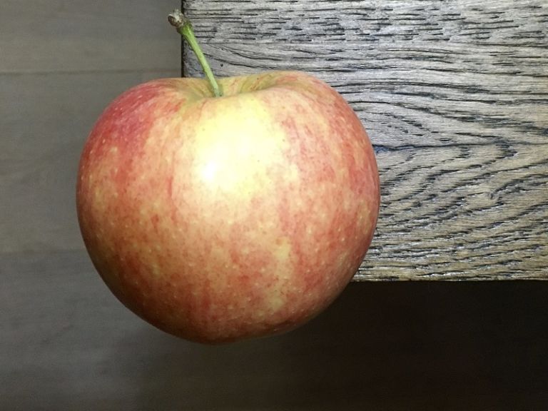 saisonkalender-september-apfelsaison