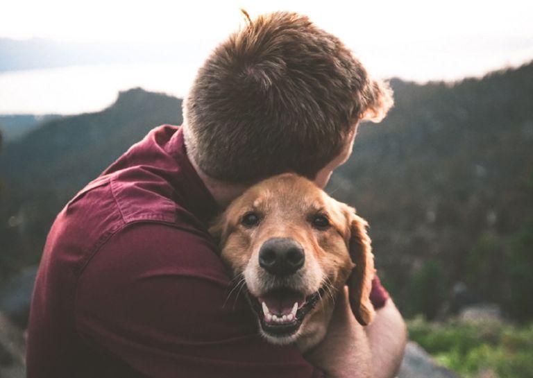 welttierschutztag-einfache-tipps-tierschutz