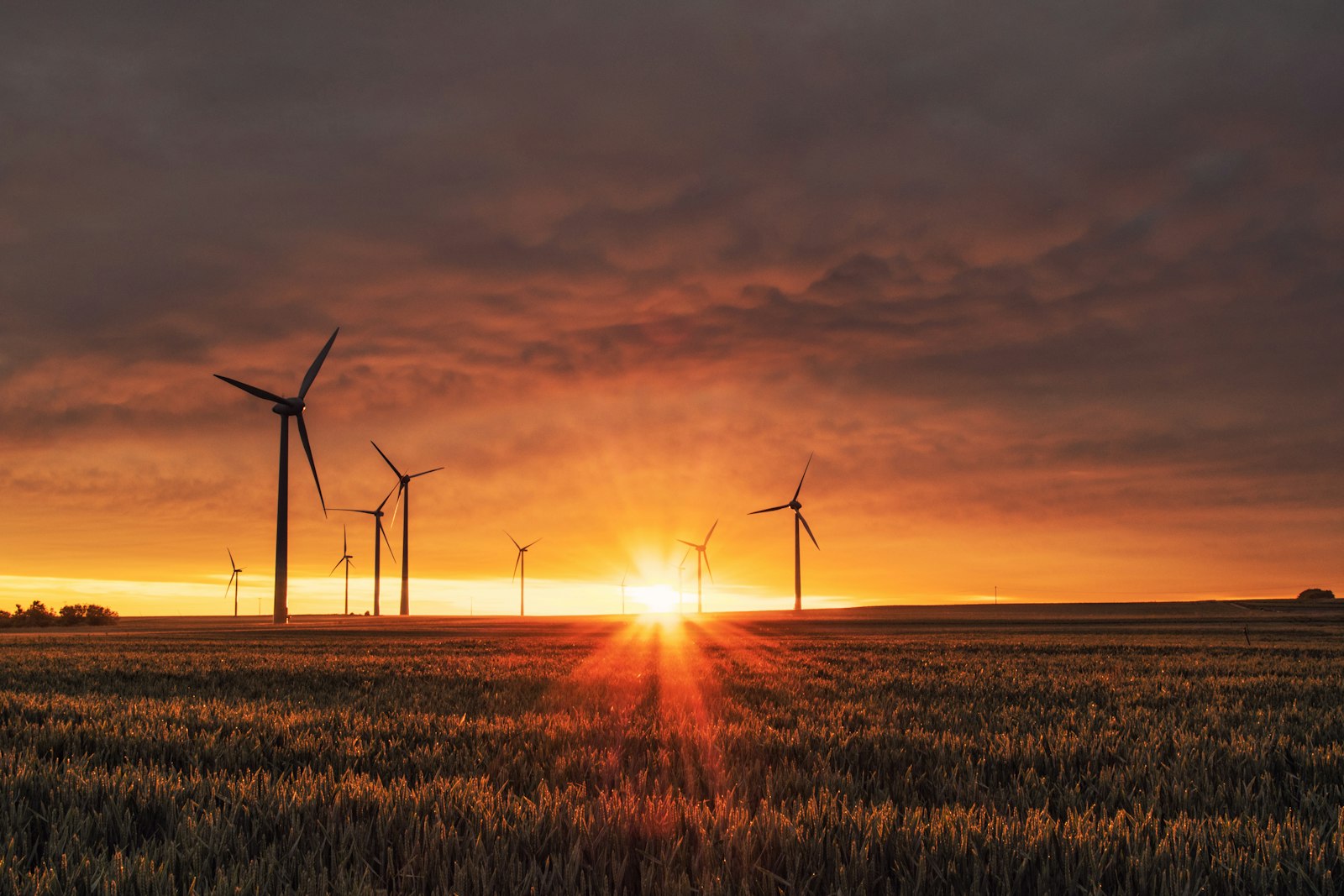 Windrad auf grünem Feld im goldenen Abendlicht – erneuerbare Energien als Symbol für Nachhaltigkeit 2025 in Deutschland