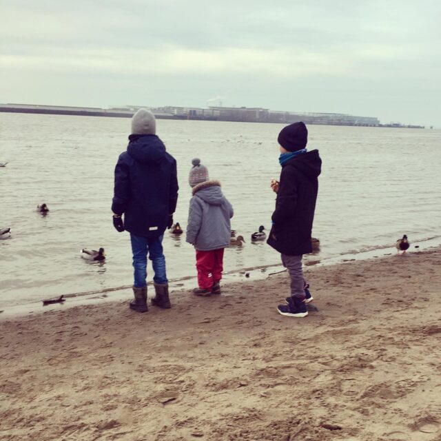 Heute kleiner Spaziergang an der Elbe, tolle Sonne und viel frische Luft. Leider keine Schiffe auf dem Wasser zu beobachten, dafür aber ein paar Enten. Und Stöcker. Stöcker sind auch immernoch sehr angesagt und flexibel einsetzbar als Klangholz, Wurfspeer oder Laserschwert 😉 Ist wirklich faszinierend, dass man eigentlich kein Spielzeug mitnehmen muss auf solche Spaziergänge. Was fehlt, das findet sich schon in der Natur - wie halt das Stock-Laserschwert. 😃