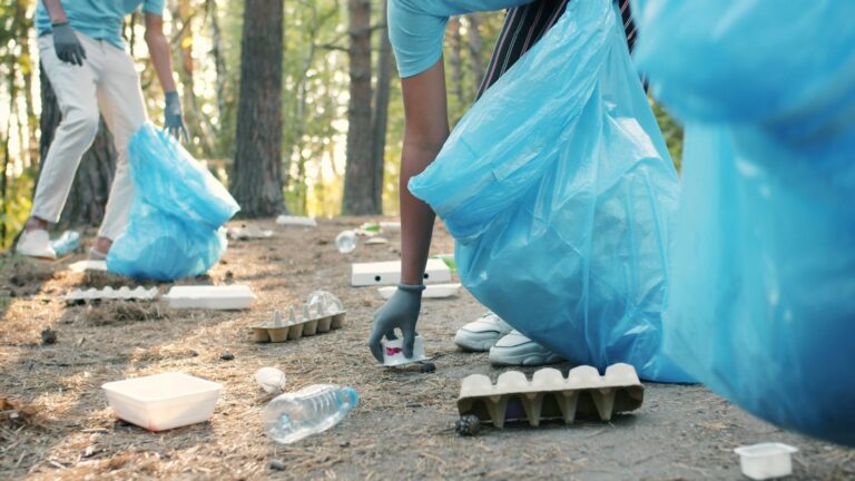 Freiwillige sammeln mit Handschuhen Müll in Müllsäcken im Wald – Cache In Trash Out verbindet Naturerlebnis mit aktivem Naturschutz