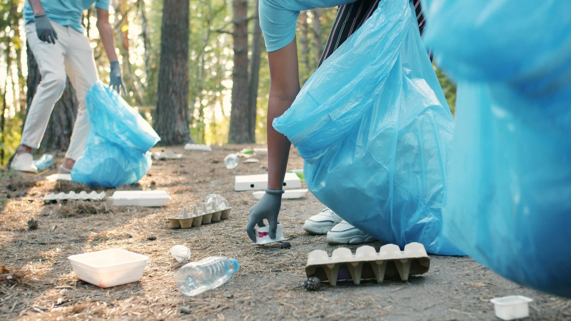 Freiwillige sammeln mit Handschuhen Müll in Müllsäcken im Wald – Cache In Trash Out verbindet Naturerlebnis mit aktivem Naturschutz