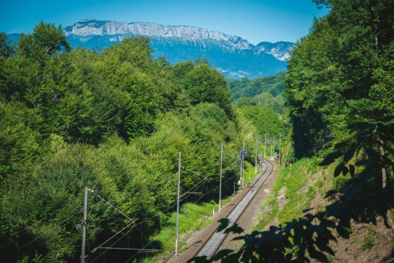 Zug fährt durch grünen Wald in der französischen Landschaft – Bahnreisen als nachhaltiger und entschleunigter Slow-Travel-Weg