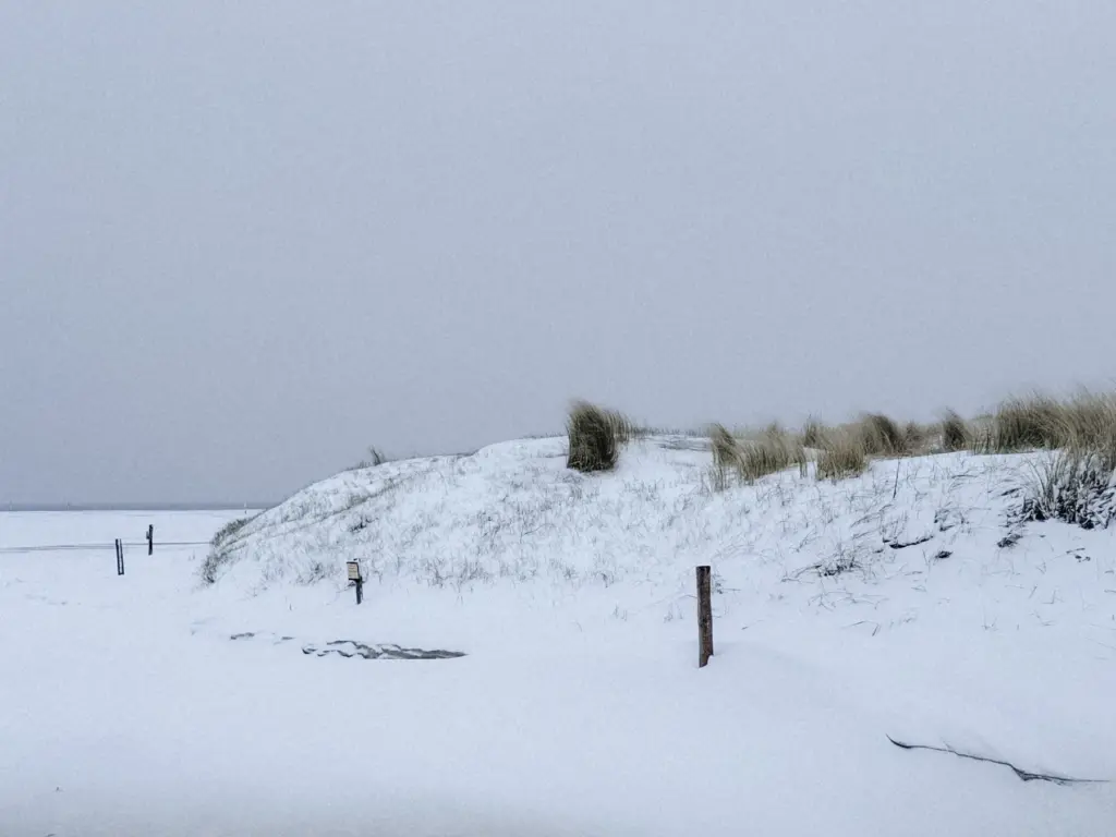 Verschneite Dünenlandschaft an der Nordsee im Winter