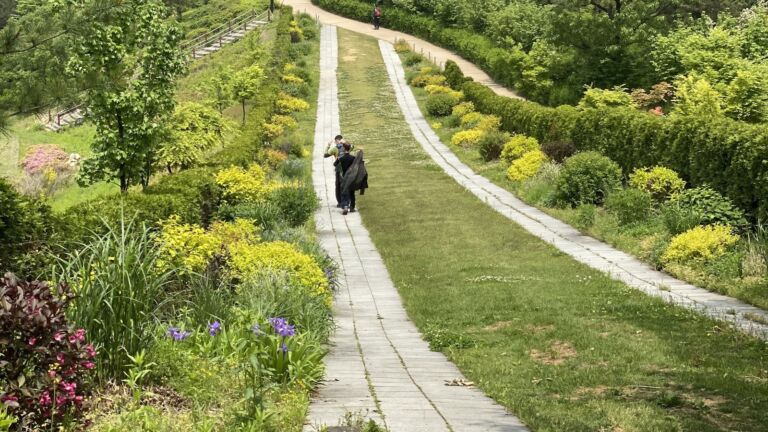 Person geht allein auf einem Waldweg zwischen grünen Bäumen