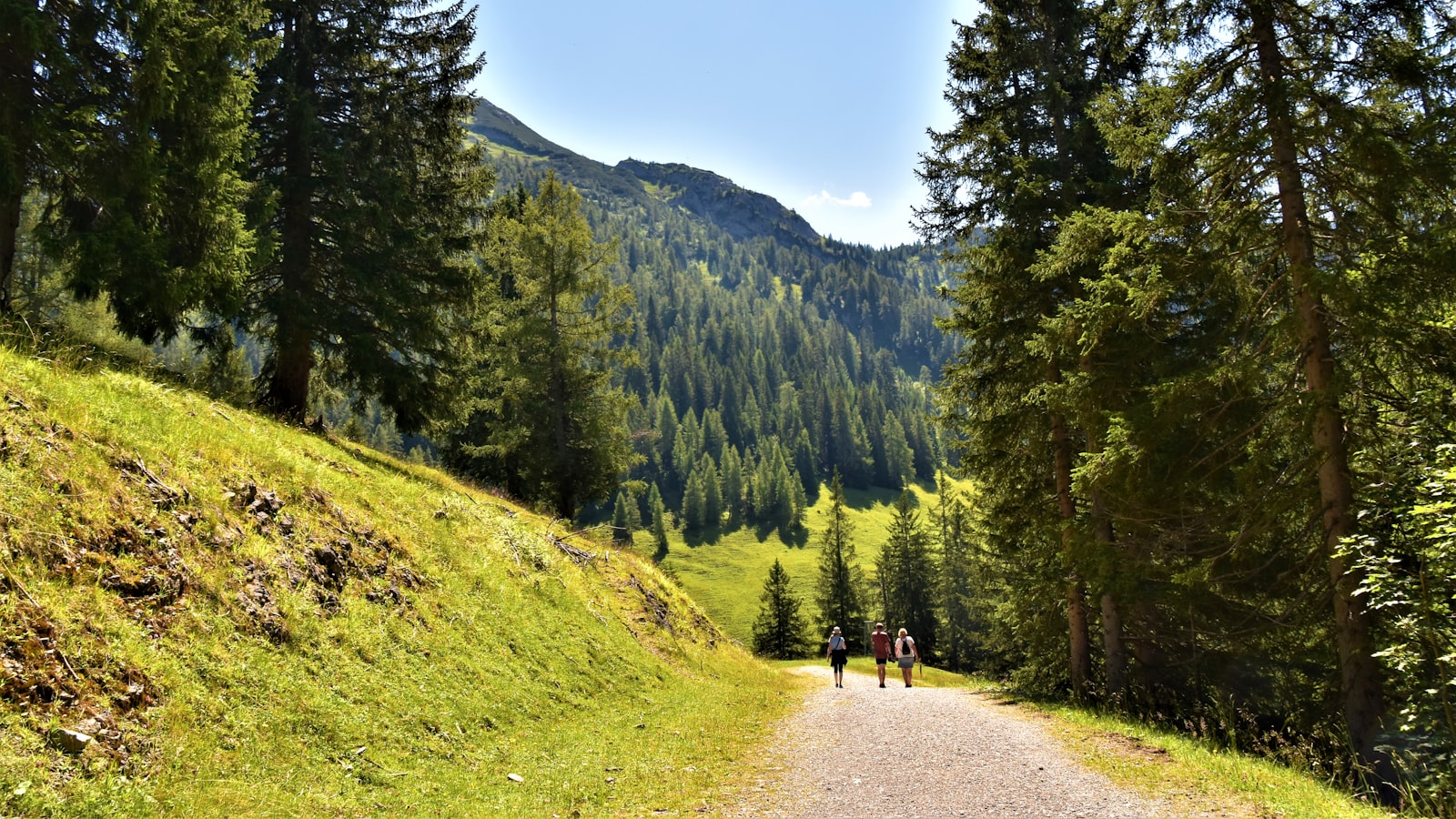 Wandergruppe auf einem Bergweg durch Fichtenwald in den Karwendelbergen, Österreich