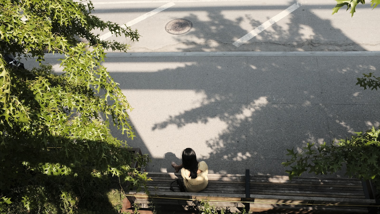 Person sitzt allein auf einer Parkbank im Baumschatten an einem heißen Sommertag