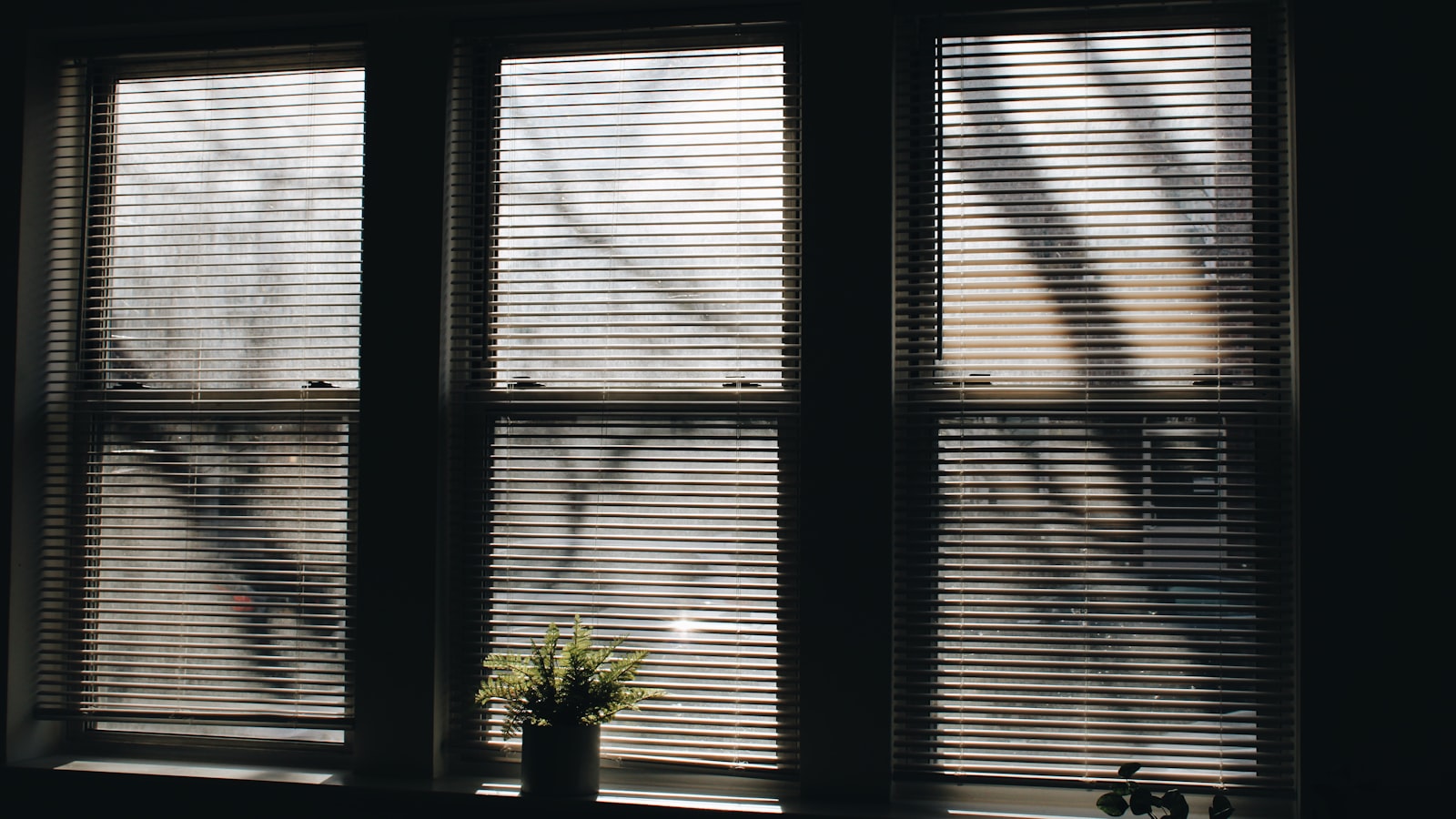 Weiße Jalousien an einem Fenster mit Zimmerpflanze im Sonnenlicht — natürlicher Hitzeschutz durch Beschattung im Sommer