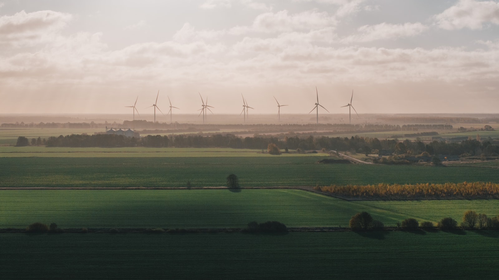 Grünes Feld mit Windrädern in der Ferne bei goldenem Abendlicht