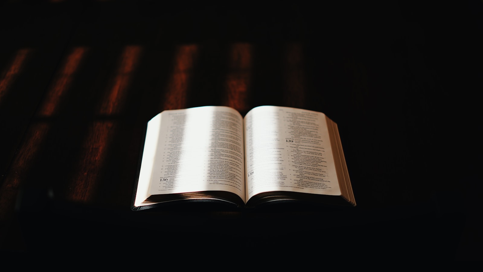 Ein aufgeschlagenes Buch, von weichem Tageslicht beschienen
