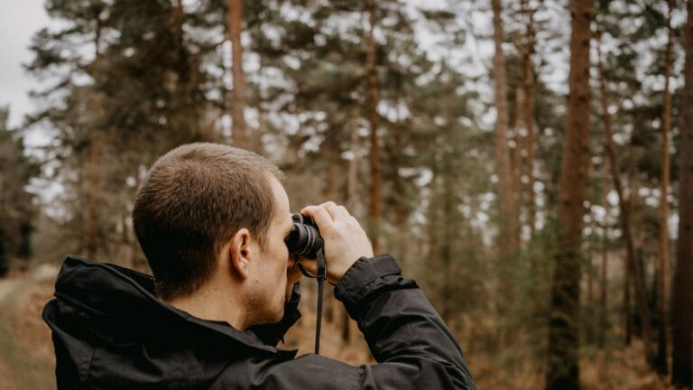 Mann blickt mit einem Fernglas konzentriert durch einen lichten Wald bei der Vogelbeobachtung