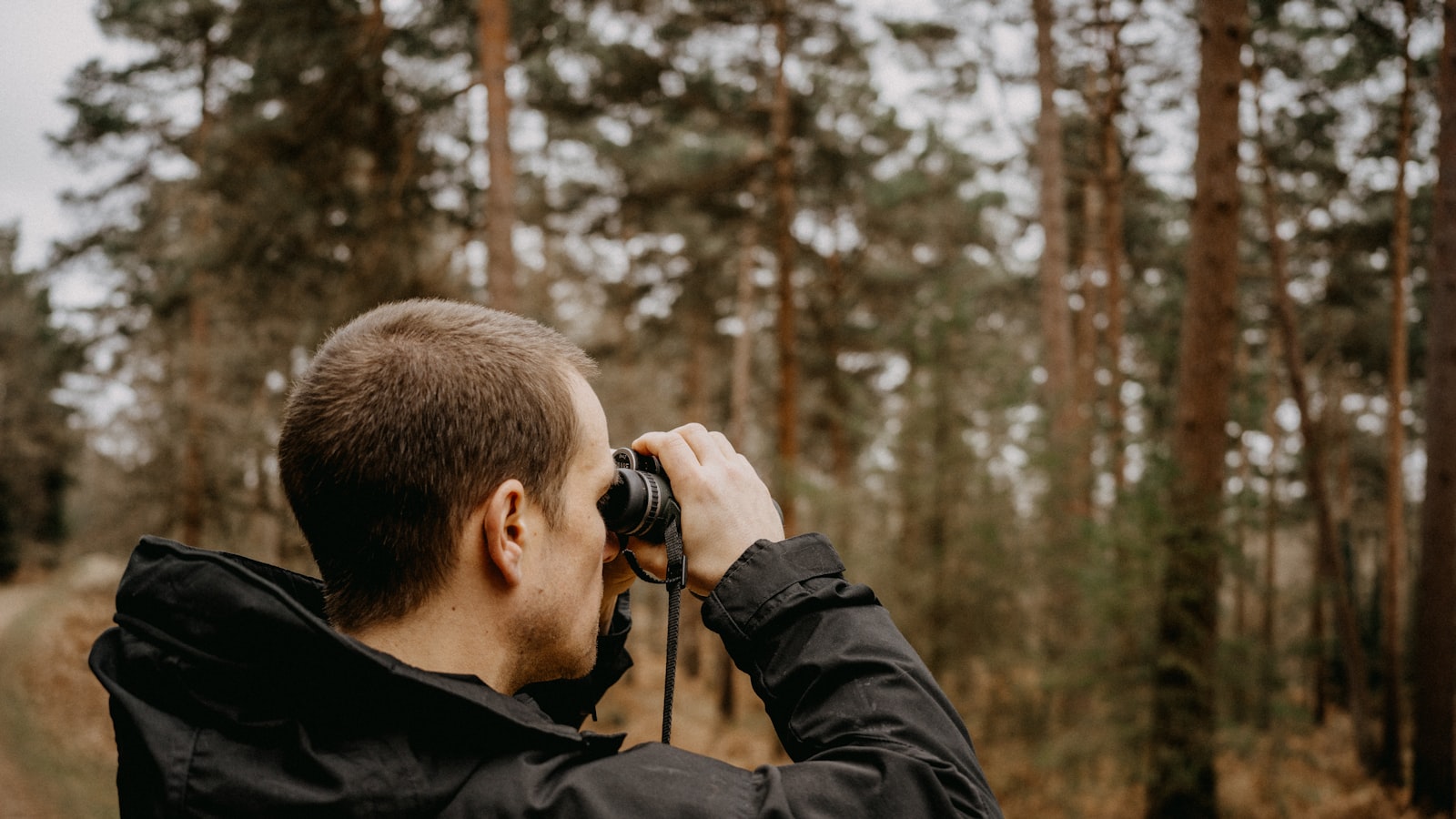 Mann blickt mit einem Fernglas konzentriert durch einen lichten Wald bei der Vogelbeobachtung